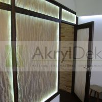 Transparent partition wall with rice in resin
